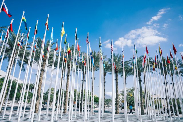 m5xsba8gtox4qh89lzlercyaadb41sp9