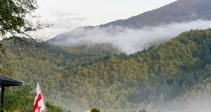 რაჭაში შარშანდელთან შედარებით ორჯერ, სამჯერ მეტი სტუმარია – ციბენა