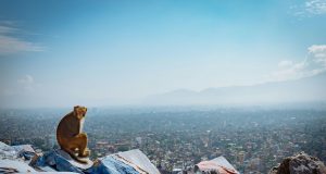 ნეპალი ტურისტების გადაადგილების კონტროლს იწყებს