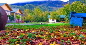 რაჭაში სასტუმროებიც და საოჯახო სასტუმროებიცდამსვენებლებით გადავსებულია – სასტუმრო თარიპირი