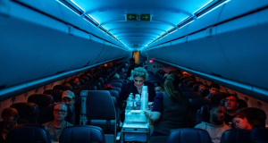 მგზავრების 10 ქმედება, რაც ეკიპაჟის წევრებს მუშაობაში ხელს უშლის