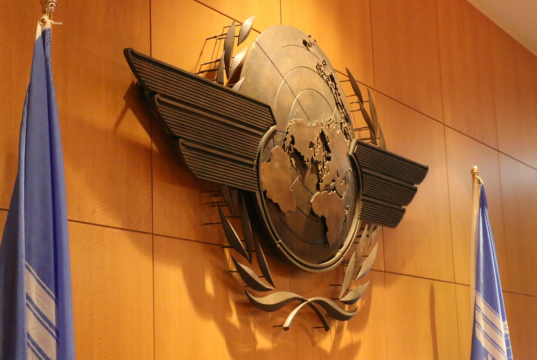 მთავრობებმა უნდა გააძლიერონ მხარდაჭერა ავიაკატასტროფის მსხვერპლთა და მათი ოჯახის წევრებისთვის – ICAO