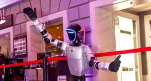 ჰუმანოიდური რობოტები საკრუიზო ლაინერების მგზავრების მომსახურებას იწყებენ