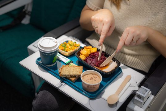 სამოქალაქო ავიაციის სააგენტოს მიერ სერტიფიცირებული ბორტკვების საწარმოები