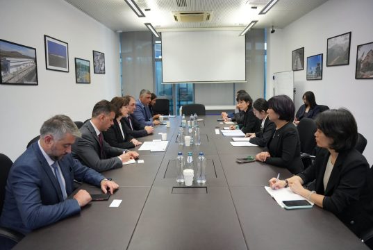 მაია ომიაძე და საავიაციო ხელისუფლების წარმომადგენლები ჩინეთის ერთ-ერთი უმსხვილესი ავიაკომპანიის, China Eastern Airlines-ის დელეგაციას შეხვდნენ