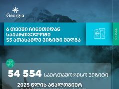 6 თვეში ჩინეთიდან საქართველოში 55 ათასამდე ვიზიტი შედგა