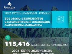 საქართველოში შუა აზიის ქვეყნებიდან საერთაშორისო ვიზიტების რაოდენობა გაიზარდა
